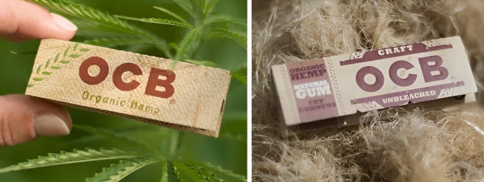 sustainability in rolling papers ocb