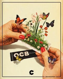 our first collaboration with the artist Bambashkart